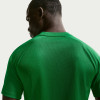 Nike Park VIII Jersey (Short Sleeve)