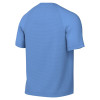 Nike Park VIII Jersey (Short Sleeve)