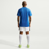 Nike Park VIII Jersey (Short Sleeve)