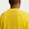 Nike Park VIII Jersey (Short Sleeve)