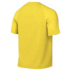 Nike Park VIII Jersey (Short Sleeve)