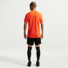 Nike Park VIII Jersey (Short Sleeve)