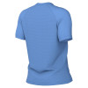 Nike Womens Park VIII Jersey (Short Sleeve)