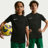 Nike Park VIII Jersey (Short Sleeve)