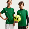 Nike Park VIII Jersey (Short Sleeve)