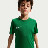 Nike Park VIII Jersey (Short Sleeve)