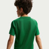 Nike Park VIII Jersey (Short Sleeve)