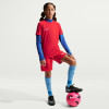 Nike Park VIII Jersey (Short Sleeve)