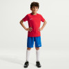 Nike Park VIII Jersey (Short Sleeve)