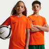 Nike Park VIII Jersey (Short Sleeve)