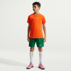 Nike Park VIII Jersey (Short Sleeve)