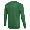 Nike Park VIII Jersey (Long Sleeve)