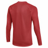 Nike Park VIII Jersey (Long Sleeve)