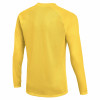 Nike Park VIII Jersey (Long Sleeve)