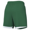 Nike Laser VI Shorts