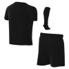 Nike Park VIII Little Kids Football Kit