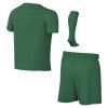 Nike Park VIII Little Kids Football Kit