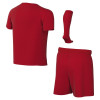Nike Park VIII Little Kids Football Kit