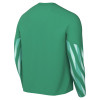 Nike Park V Goalkeeper Jersey (Long Sleeve)