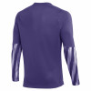 Nike Park V Goalkeeper Jersey (Long Sleeve)