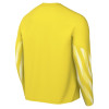 Nike Park V Goalkeeper Jersey (Long Sleeve)