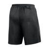 Nike Referee III Shorts