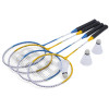 Baseline 4 Player Pro Badminton Set