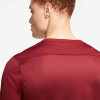 Nike Park VII Jersey (Short Sleeve)