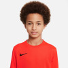 Nike Park VII Jersey (Short Sleeve)