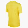 Nike Park VII Jersey (Short Sleeve)