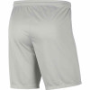 Nike Park III Short - Pewter Grey/Black