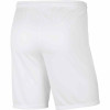 Nike Park III Short