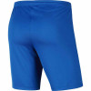 Nike Park III Short