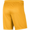 Nike Park III Short