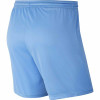 Nike Womens Park III Short