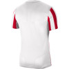 Nike Striped Division IV Jersey (Short Sleeve)