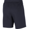 Nike Fleece Park 20 Short