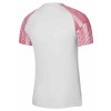 Nike Academy Jersey SS - White/University Red/University Red