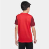 Nike Trophy V Jersey SS - University Red/Team Red/White