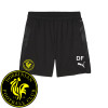 Dorkinian FC - Team Cup Training Shorts