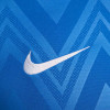 Nike Challenge V Jersey (Short Sleeve)