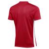 Nike Challenge V Jersey (Short Sleeve)