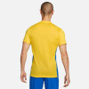 Nike Park Derby IV Jersey (Short Sleeve)