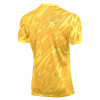 Nike Gardien V GK Jersey (Short Sleeve)