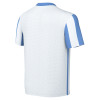 Nike Striped Division V Jersey (Short Sleeve)
