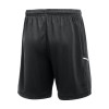 Nike Academy 25 Knit Shorts