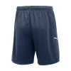 Nike Academy 25 Knit Shorts