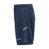 Nike Academy 25 Knit Shorts