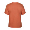 Gildan Heavy Cotton T-Shirt