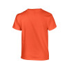 Gildan Heavy Cotton T-Shirt